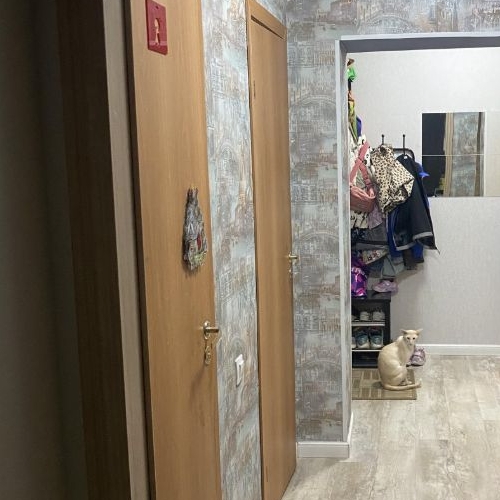 2-комн квартира Петергоф, улица Парковая, 18