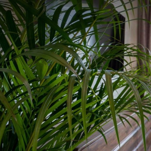 3-комн квартира Вязовая улица, 8