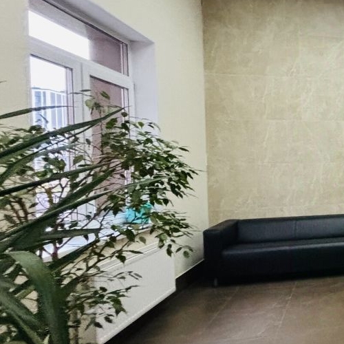 Студия проспект Маршала Блюхера, 9к3