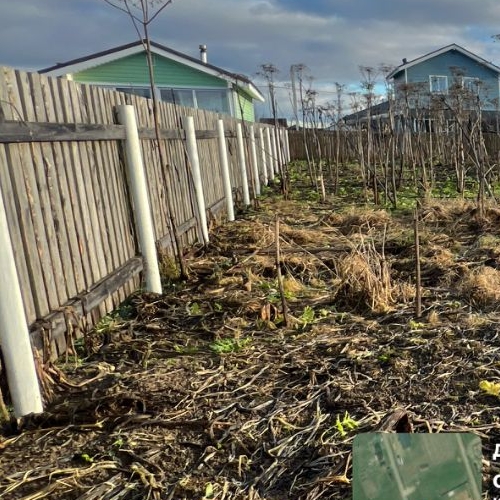 Земельный участок д. Аннолово, проезд 1-й Кошелевский,  д. 10