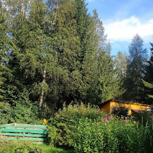 Коттедж/дом Симагино СНТ, 150