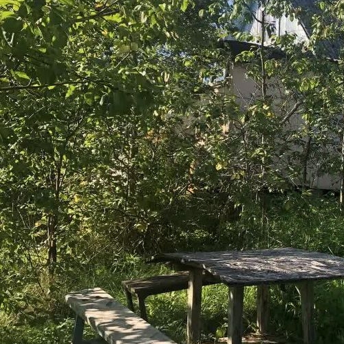 Коттедж/дом Гвоздика СНТ, улица 10-я