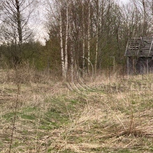 Коттедж/дом д. Шамокша, улица Сельская, 3