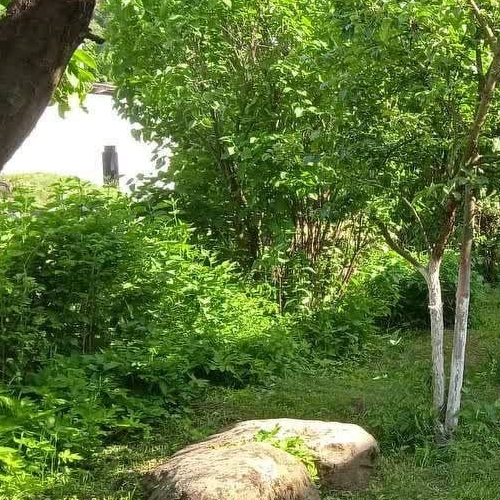 Коттедж/дом д. Клинково, улица Центральная, 7