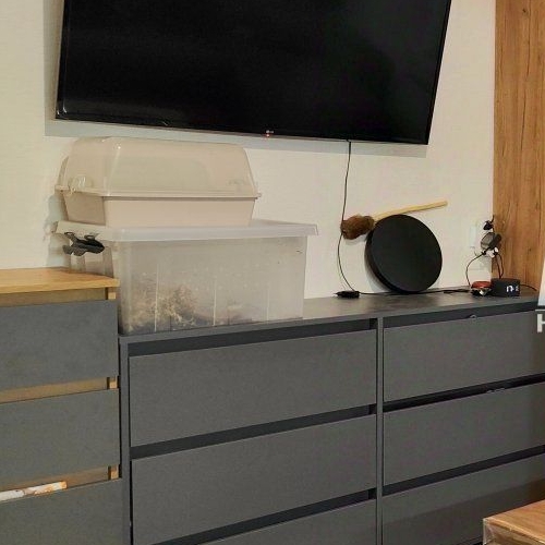 Студия Мурино, улица Шоссе в Лаврики, 78к1