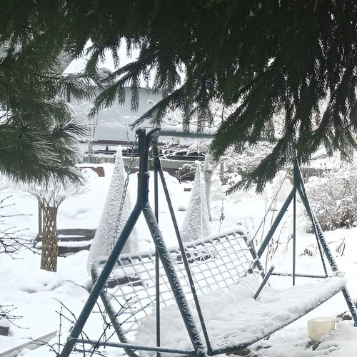 Коттедж/дом Сосновый Бор, Строитель СНТ