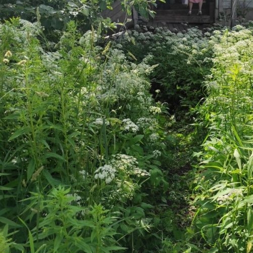 Коттедж/дом д. Павлово, 1