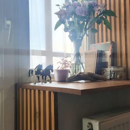 1-комн квартира Мурино, Новая улица, 13к1