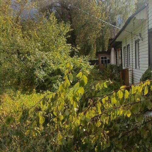 Коттедж/дом д. Большие Поля, 109