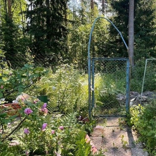 Коттедж/дом Рощино пгт, Лесное СНТ