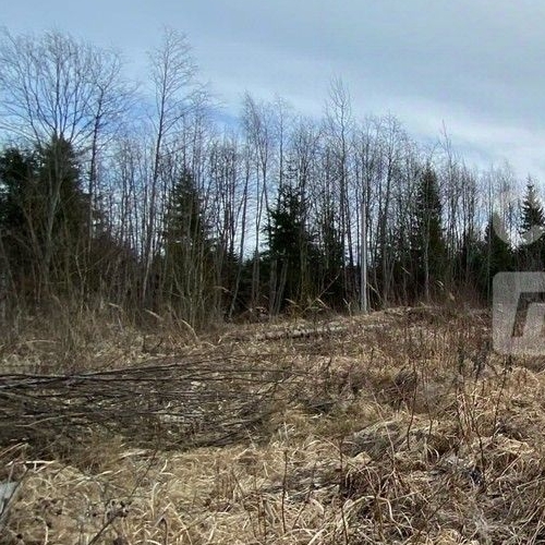 Земельный участок Восточное Радофинниково садоводческий массив, Машиностроитель СНТ, 13-я линия, 5