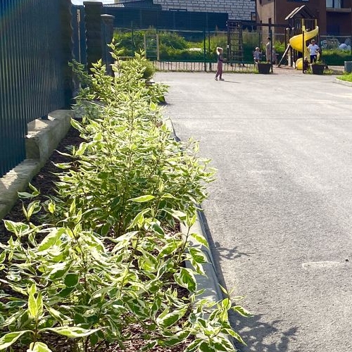 Коттедж/дом д. Низино, улица Меншиковская, 81