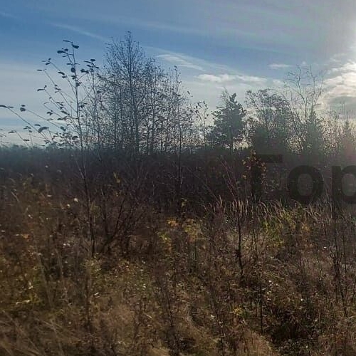 Земельный участок Кискелово массив, 1