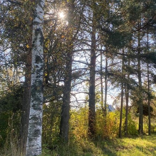 Коттедж/дом Восход садоводческий массив, Ладога-73 СНТ, 9-я линия, 320