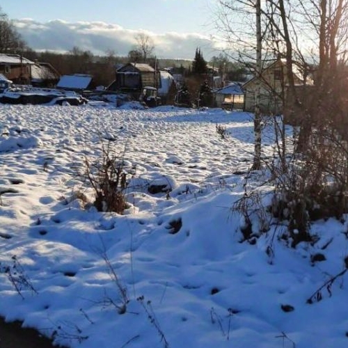 Земельный участок д. Старые Низковицы, 35