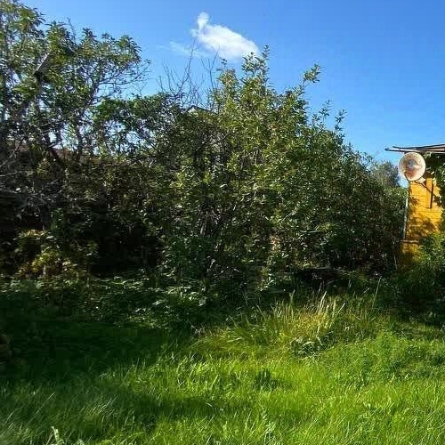 Коттедж/дом Пупышево садоводческий массив, Автомобилист СНТ, 8-я линия