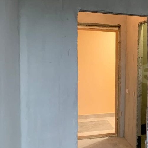 Студия д. Новое Девяткино, улица Главная, 2