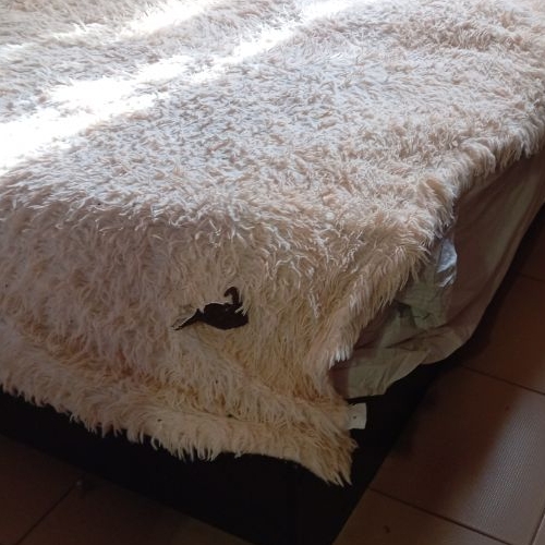 Коттедж/дом Лада садовое товарищество, 421