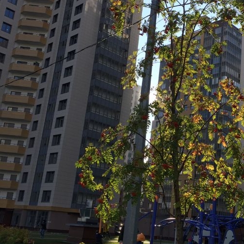 1-комн квартира Дунайский проспект, 7к7