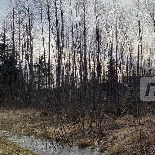 Земельный участок Восточное Радофинниково садоводческий массив, Машиностроитель СНТ, 13-я линия, 5