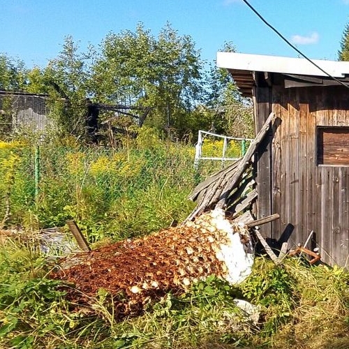 Коттедж/дом Посадников остров садоводческий массив, Магистраль СНТ, 7-я линия