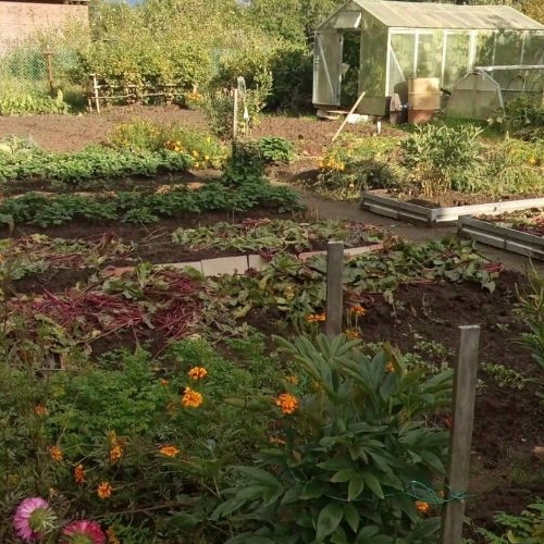 Коттедж/дом Кюльвия СНТ