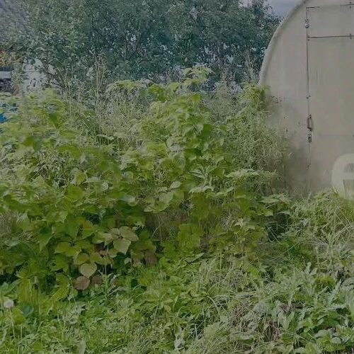 Коттедж/дом Нефтяник СНТ, улица 12-я