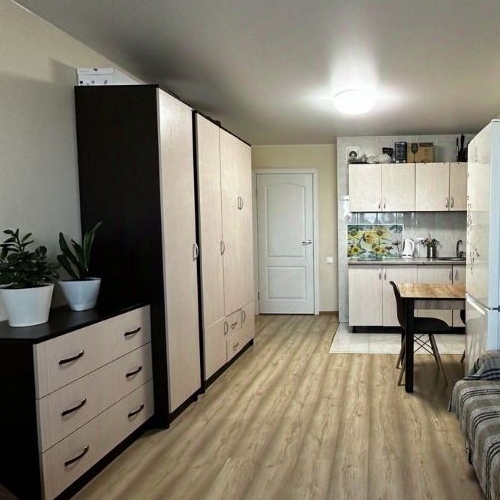 Студия д. Низино, улица Верхняя, 1к1