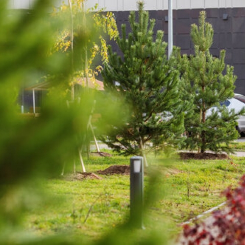 1-комн квартира Мурино г, Авиаторов Балтики пр-кт,  д. 31