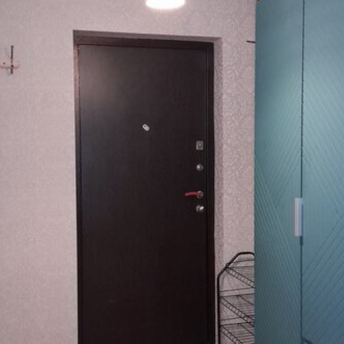 1-комн квартира Парголово п, Фёдора Абрамова ул