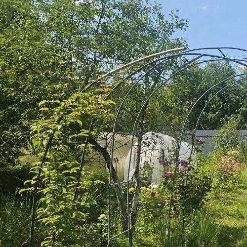 Коттедж/дом Красницы садоводческий массив, 5-я линия