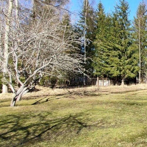 Коттедж/дом Мшинская садоводческий массив, Причал СНТ, улица Центропоперечная,  д. 251