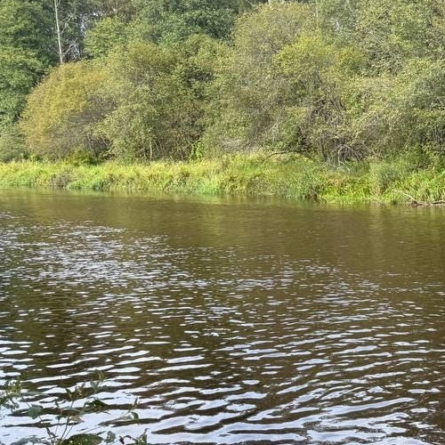 Земельный участок пос. Белоостров, СИЗ СНТ, дорога 5-я, 11