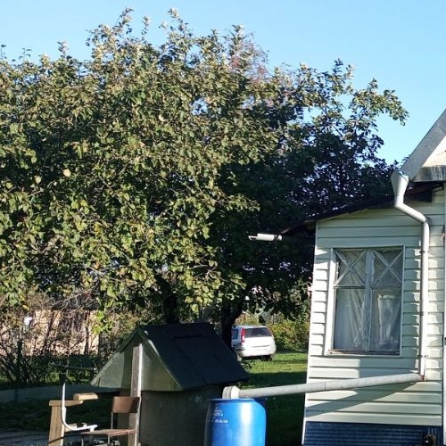 Коттедж/дом Горы-2 дм, Горы СНТ, улица Рябиновая