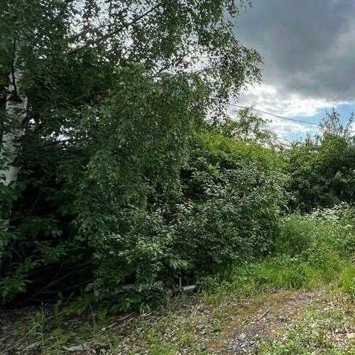 Земельный участок пос. Петро-Славянка, Красноармейское СНТ