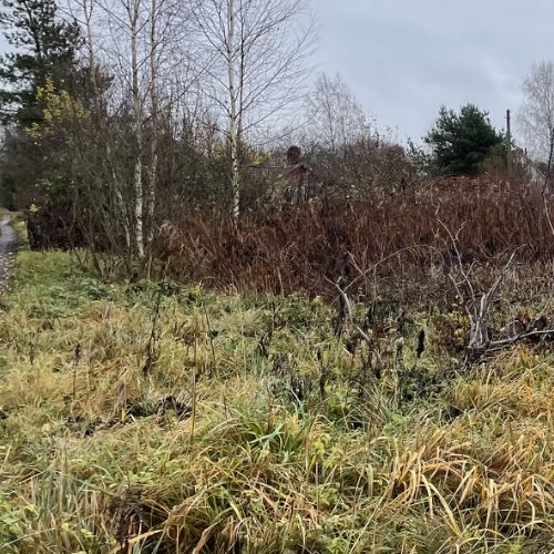 Земельный участок Пушкин, СНТ Дони тер., улица 1-я Линия