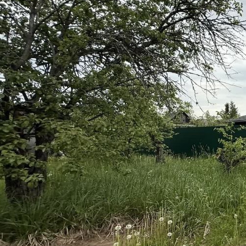 Земельный участок Механизатор СНТ, улица 3-я, 46