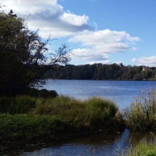 Земельный участок Юбилейное СНТ, улица 3-я