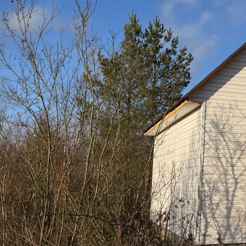 Коттедж/дом Любань, улица Восточная