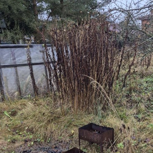 Коттедж/дом Павловск, Звездочка СНТ, 941