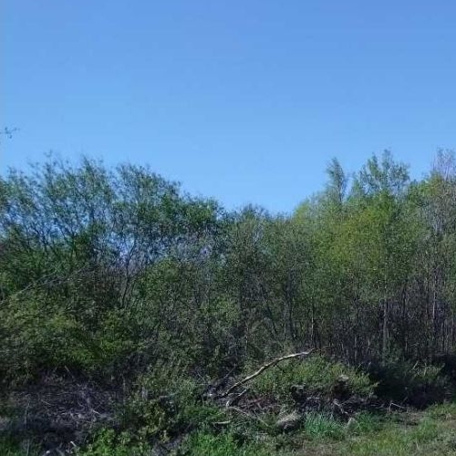 Земельный участок Ойнелово массив, улица Лесная