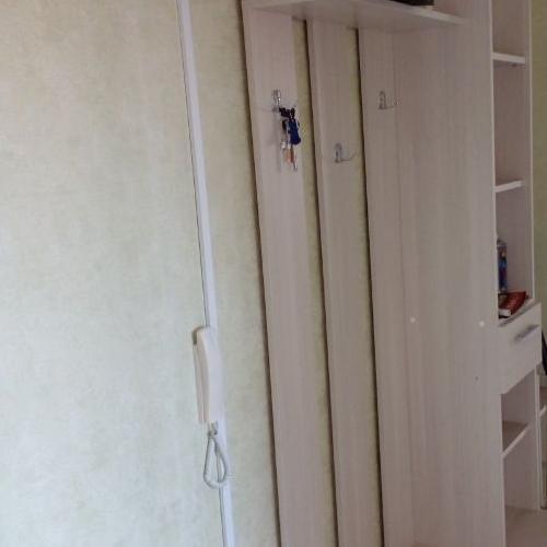 3-комн квартира Сестрорецк, улица Мосина, 5