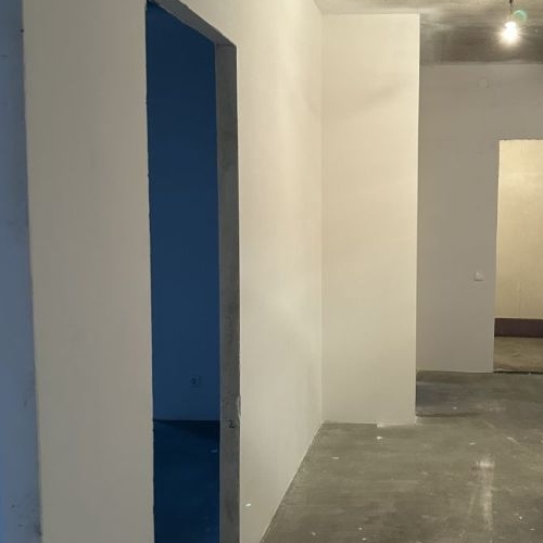 2-комн квартира Большой Сампсониевский проспект, 77