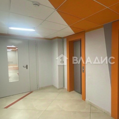 Студия пос. Парголово, проезд Толубеевский, 8к2