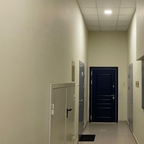 Студия пос. Шушары, Пулковское тер., улица Образцовая, 5к1