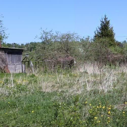 Земельный участок Приладожское СНТ, 514