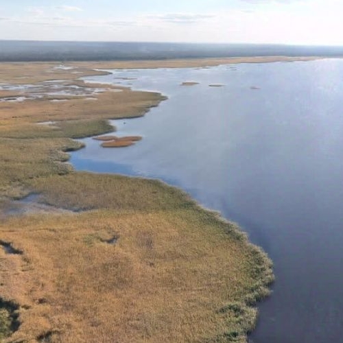 Земельный участок Липки СНТ, 2-я линия, 120