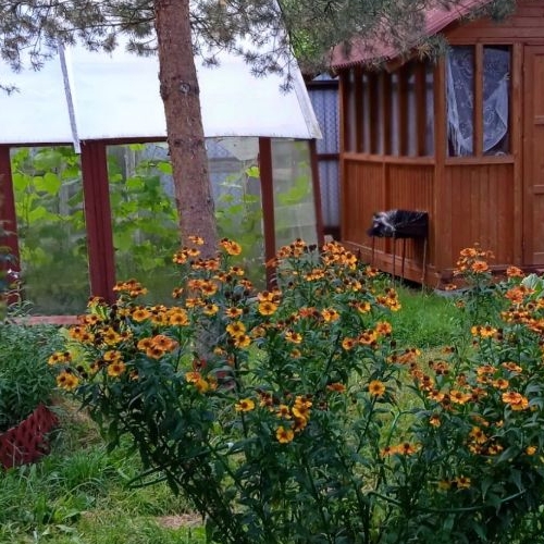 Коттедж/дом Павловск, Уголек СНТ