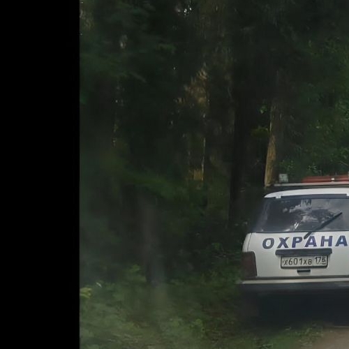 Земельный участок Ленфильм СНТ, 156Н