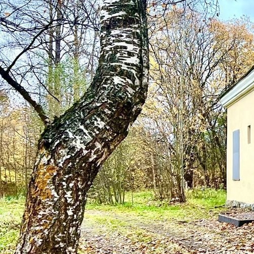 Коттедж/дом Петергоф, Собственный проспект, 84